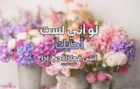 الى حبيبتي الغالية