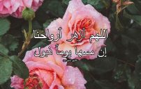 كلام طيب للواتس 9 كلام طيب للواتس