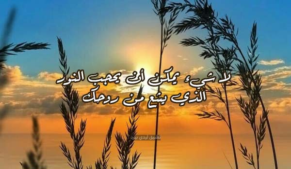 رسائل حلوة للواتس