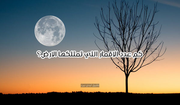 %D8%A3%D8%B3%D8%A6%D9%84%D8%A9 %D8%B0%D9%83%D8%A7%D8%A1 %D9%84%D9%84%D8%A7%D8%B7%D9%81%D8%A7%D9%84 2