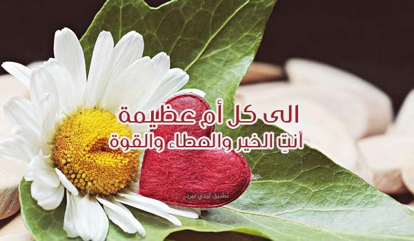 عيد الأم للأمهات 2
