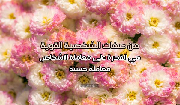 كلام عن الشخصية القوية