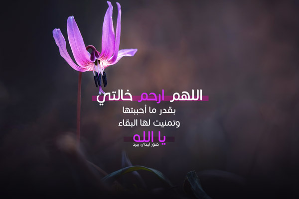 المتوفية1