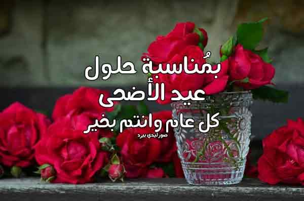بطاقات لعيد الاضحى