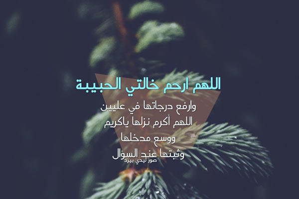 اللهم ارحم خالتي الحبيبة