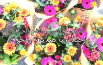 صور حب لصديقتي