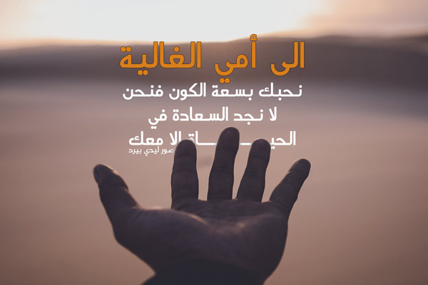 امي ليدي بيرد