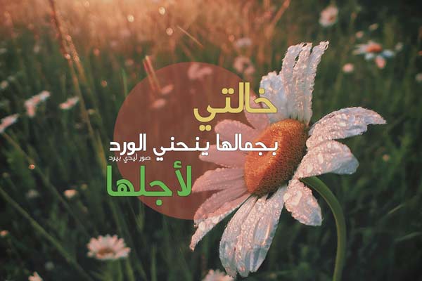 للواتس