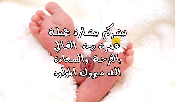 مولود اخي