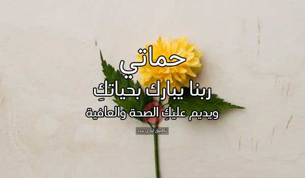 حب لحماتي