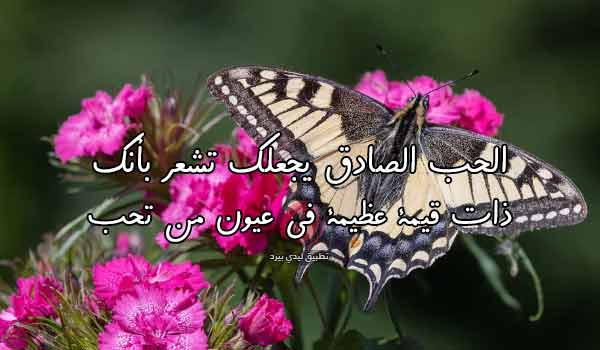 عن الحب الصادق