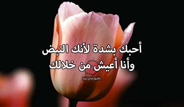 تعبر عن الحب الحقيقي للحبيب