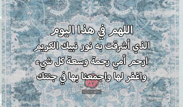 صور للام المتوفية في المولد النبوي