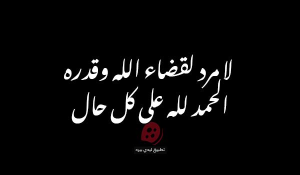 رد على الله يرحمه
