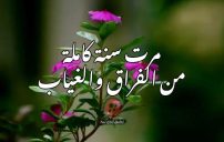 صور عن مرور سنة على الغياب والفراق