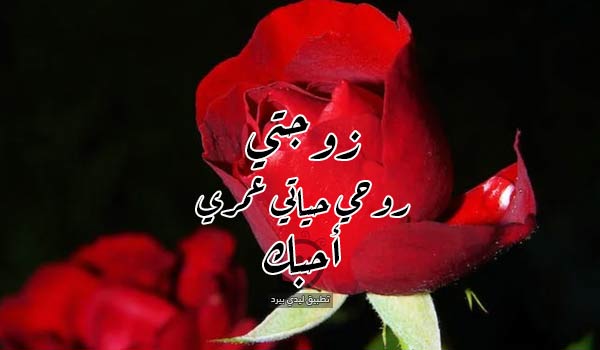 كلام رائع للزوجة