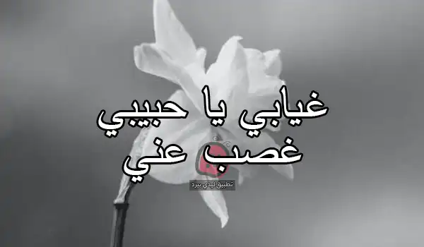 رسائل اعتذار للحبيب عن الغياب اقراها