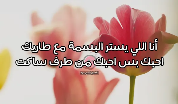 قصائد حب سعودية أجمل أشعار أحبك 1 قصائد حب سعودية