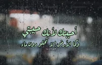 جواب لماذا تحبني للحبيبة