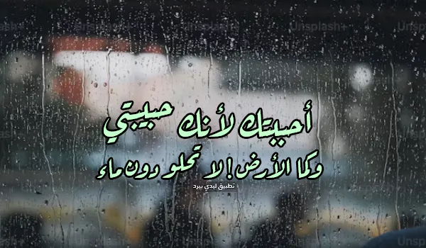جواب لماذا تحبني للحبيبة