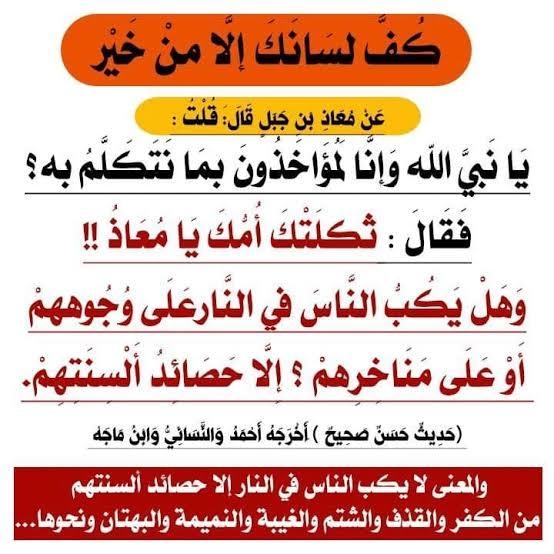 1606105888004