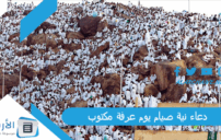 أدعية يوم عرفة مكتوبة: رزق وشفاء وقضاء حاجة 9 Arafah day prayer hands