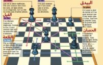 تعليم الشطرنج للمبتدئين خطوة بخطوة مع قواعد سهلة 5 chess board beginner learning