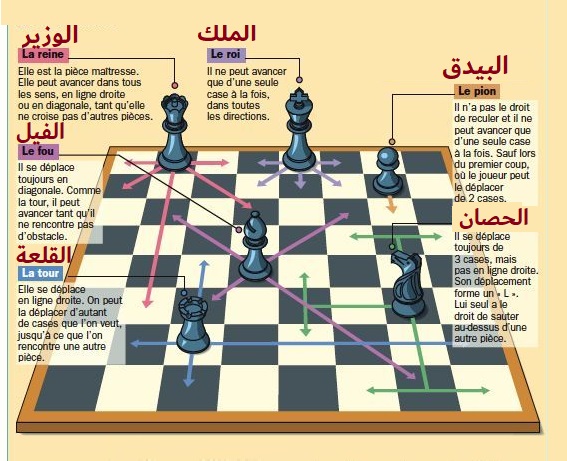 تعليم الشطرنج للمبتدئين خطوة بخطوة مع قواعد سهلة 1 chess board beginner learning