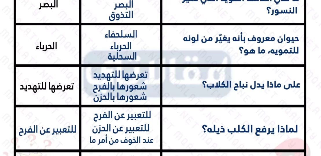 أسئلة ثقافية منوعة مع الإجابات تنمّي المعرفة وتزيد التحدي 1 أسئلة ثقافية منوعة