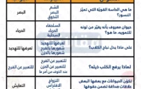 أسئلة ثقافية منوعة مع الإجابات تنمّي المعرفة وتزيد التحدي 3 أسئلة ثقافية منوعة