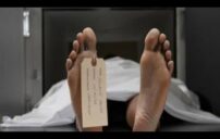 مراحل تحلل الجثة زمنيًا: ماذا يحدث للجسم بعد الوفاة؟ 10 forensic science investigation lab