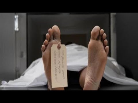 مراحل تحلل الجثة زمنيًا: ماذا يحدث للجسم بعد الوفاة؟ 1 forensic science investigation lab