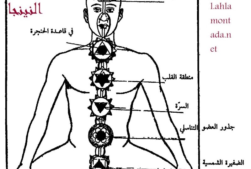 القوة الروحية: خطوات بسيطة لتقوية نفسك من الداخل بثبات 1 inner peace meditation sunrise