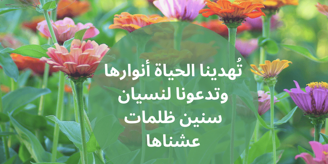 عبارات جميلة عن الحياة تمنحك طاقة وأملًا كل يوم 1 inspirational Arabic quote sunrise