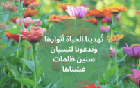 عبارات جميلة عن الحياة تمنحك طاقة وأملًا كل يوم 2 inspirational Arabic quote sunrise