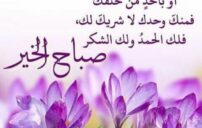 دعاء صباح قصير يفتح يومك بالبركة والرزق والطمأنينة 7 morning prayer hands sunrise