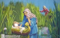دعاء أم موسى: يقين الأم وقت الخوف وأدعية تفريج الكرب 17 Moses mother basket river illustration