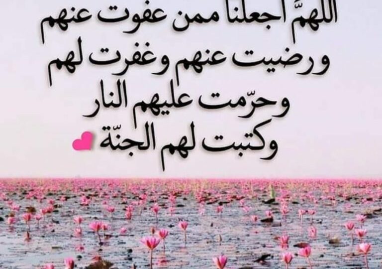 أدعية يوم الجمعة مكتوبة: 35 دعاء قصيرًا لساعة الإجابة 1 mosque friday prayer hands supplication