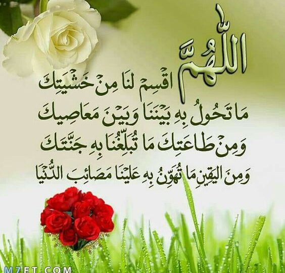 أدعية جميلة قصيرة تريح القلب وتشرح الصدر 1 muslim hands praying soft light