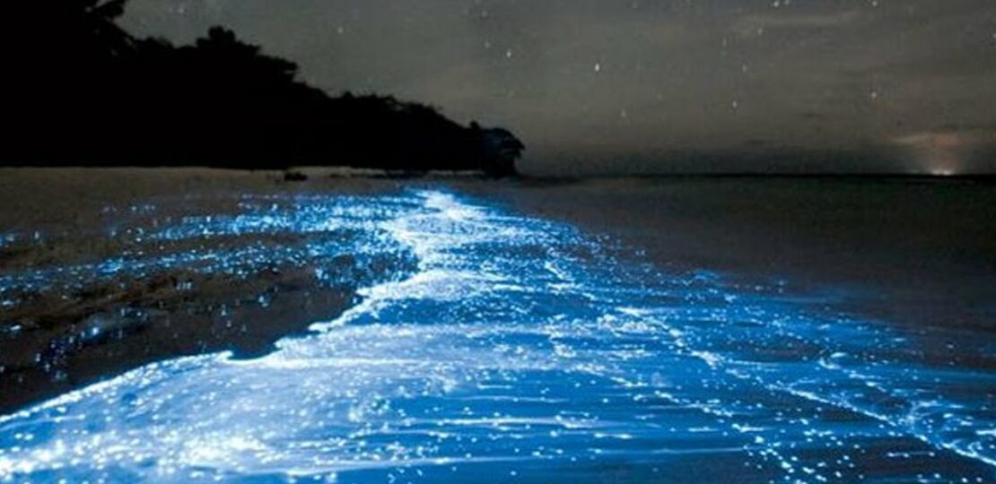 أغرب الظواهر الغامضة التي حيّرت العلماء 1 mysterious unexplained phenomenon dark atmosphere