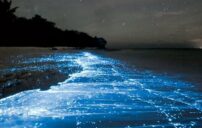 أغرب الظواهر الغامضة التي حيّرت العلماء 15 mysterious unexplained phenomenon dark atmosphere