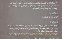 دعاء الوتر في رمضان: كلمات تقرّبك وتزيد خشوع قيامك 4 ramadan night prayer mosque