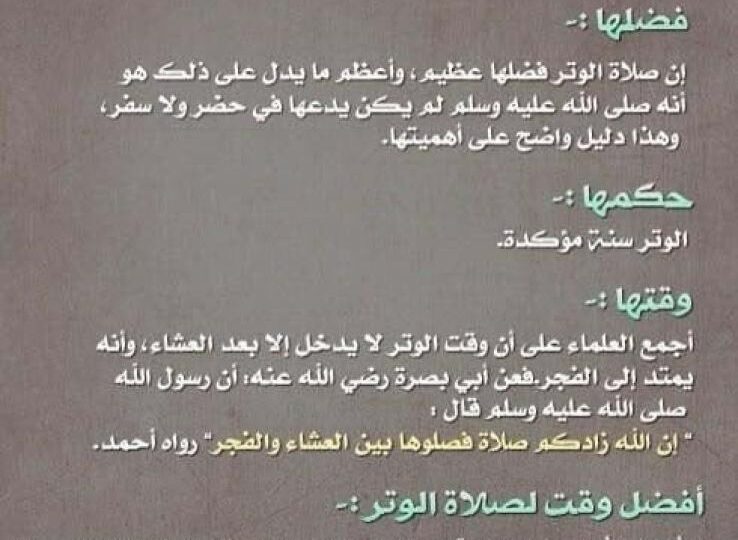 دعاء الوتر في رمضان: كلمات تقرّبك وتزيد خشوع قيامك 1 ramadan night prayer mosque